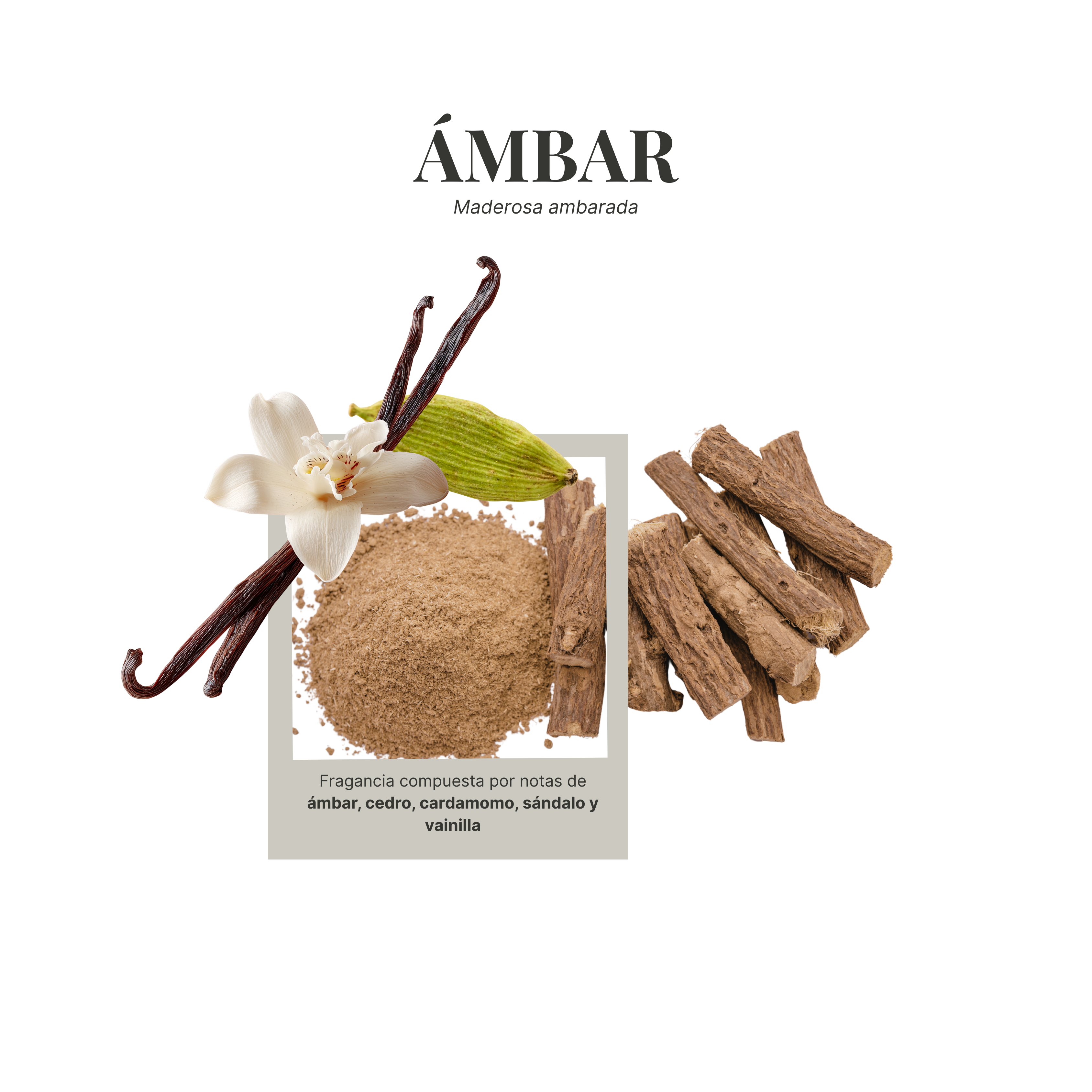 Mini Home Spray Ámbar 120 ml