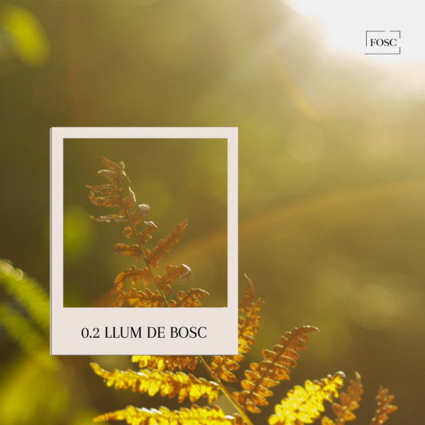 0.2 Llum de bosc - Home Spray - Imagen 2