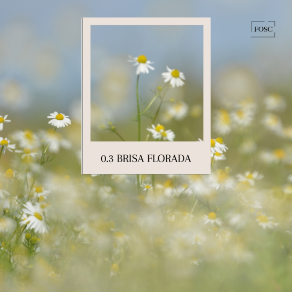 0.3 Brisa Florada - Home Spray - Imagen 2