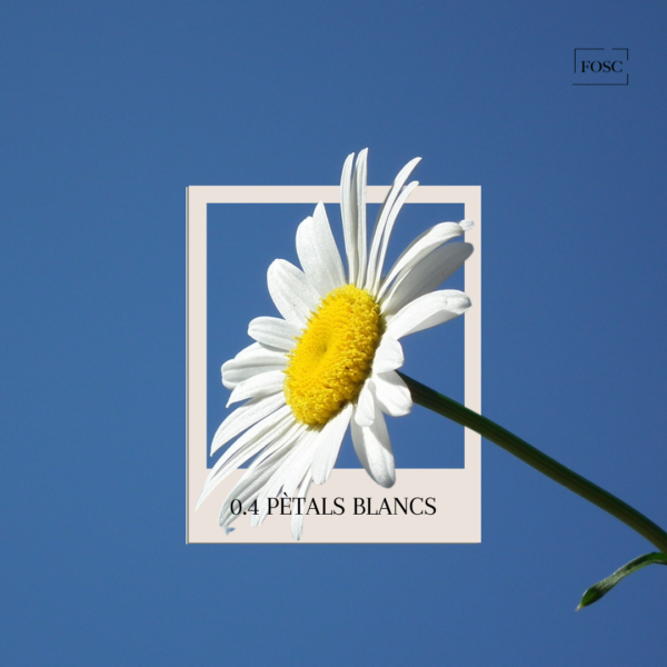 0.4 Pètals Blancs - Mikado - Varillas difusoras - Imagen 2