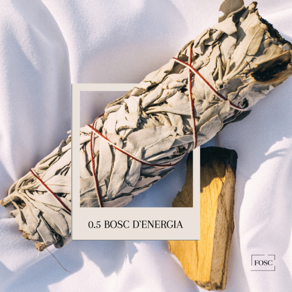 0.5 Bosc d'energia - Home Spray - Imagen 2