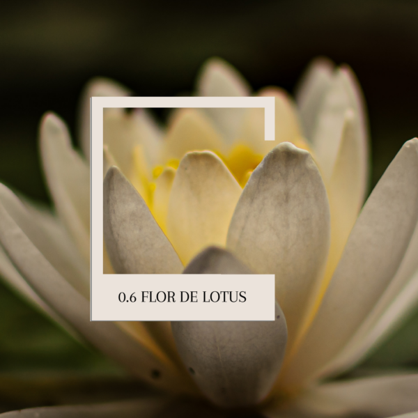 0.6 Flor de Lotus - Vela cera de Soja - Imagen 2